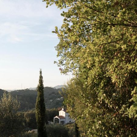B&B La Fustaia Sarzana Ngoại thất bức ảnh